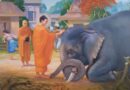 Sự Tích Phật Lực Thứ Ba – Đức Phật Cảm Thắng Voi Nalagiri